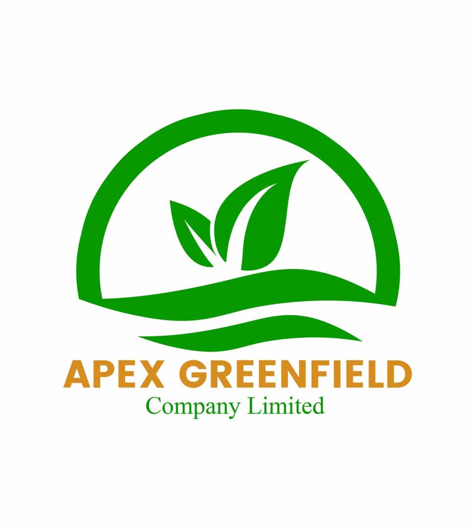Logo Work 12