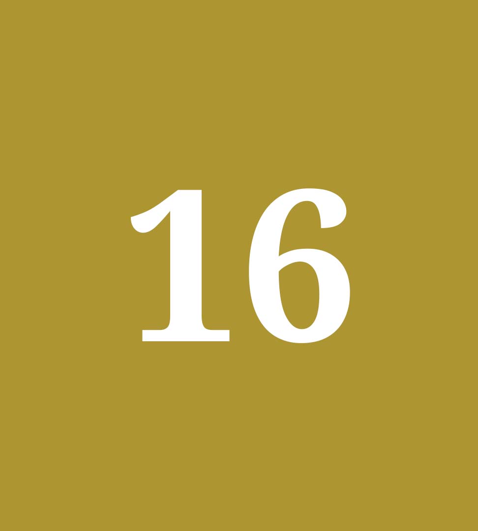 Document Work 16